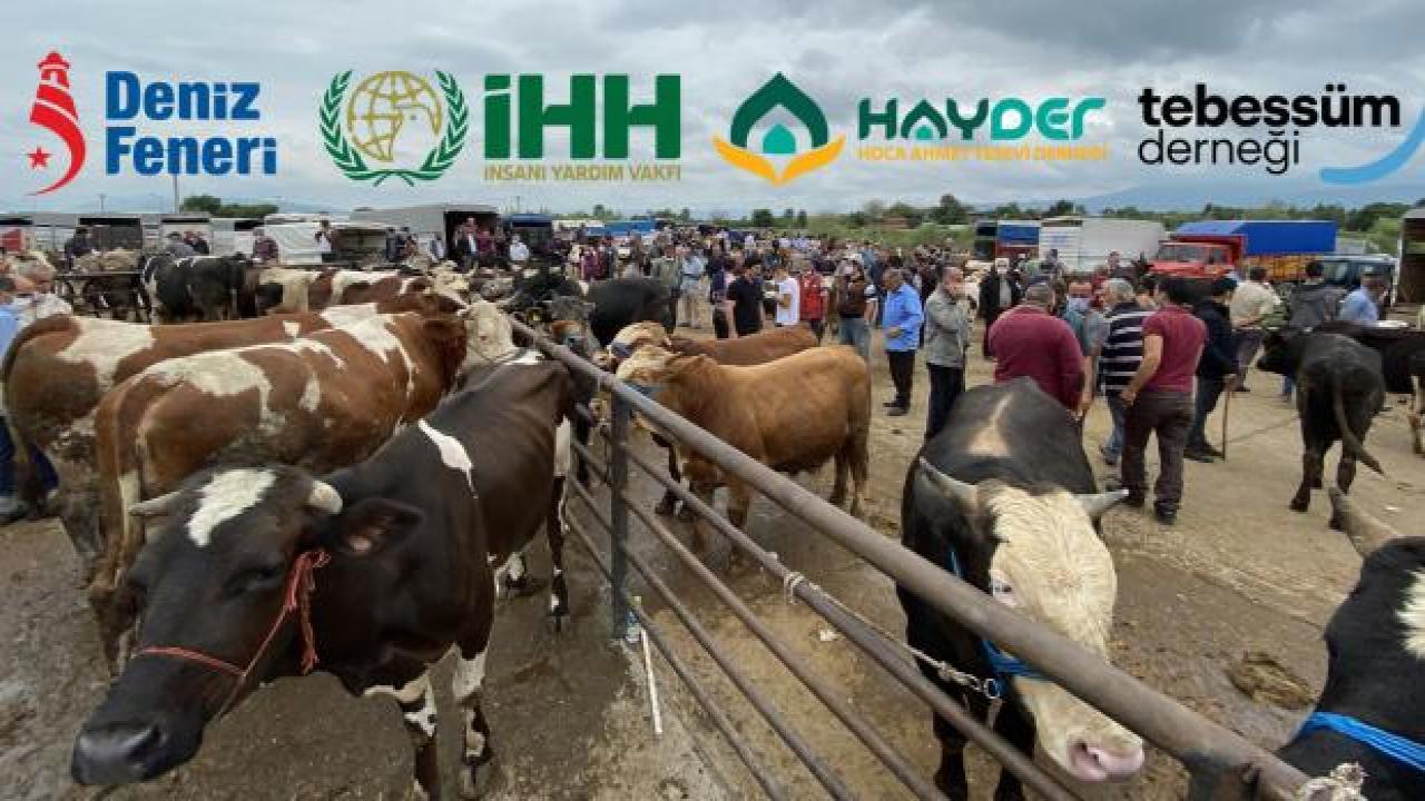 Vakıfların 2022 kurbanlık fiyatları açıklandı! Deniz Feneri Derneği, İHH, HAYDER kurban hisse bedeli
