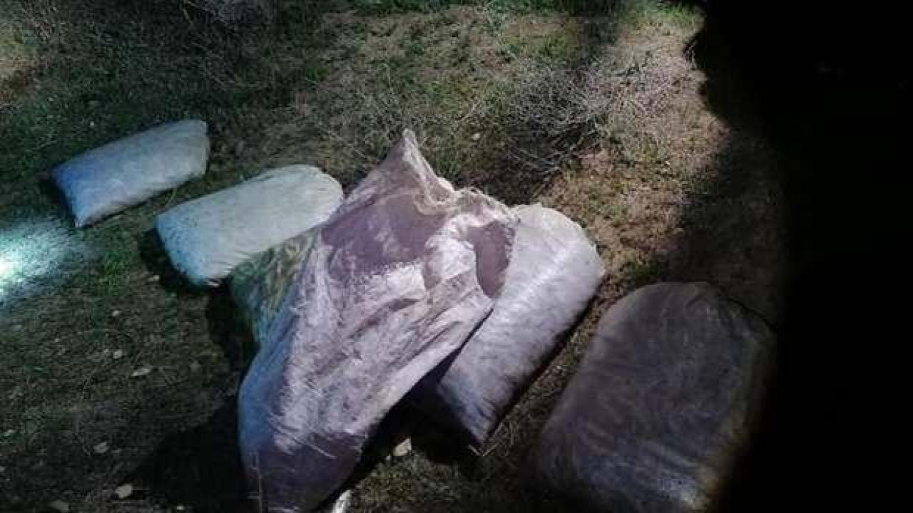 Van'da kaçak avlanan 1,3 ton inci kefali ele geçirildi