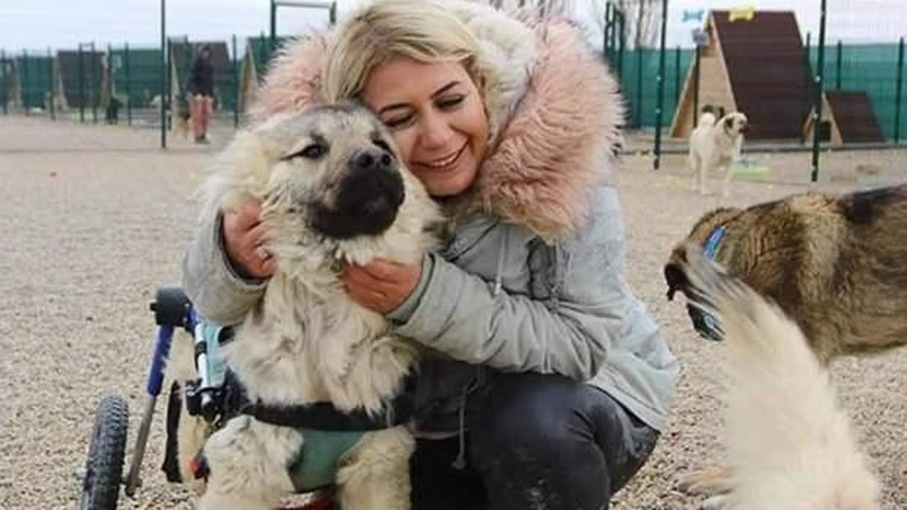 Ve Buket Özgünlü gözaltına alındı! Milyonlar götürmüş, işte detaylar...