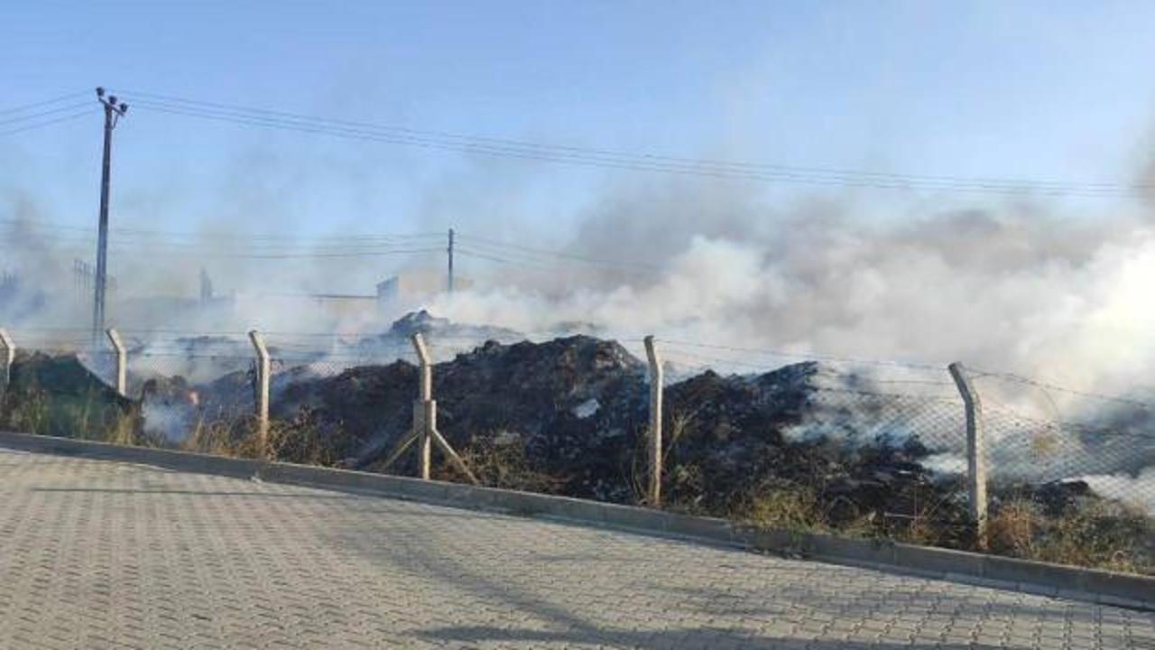 Yalova'da yangın