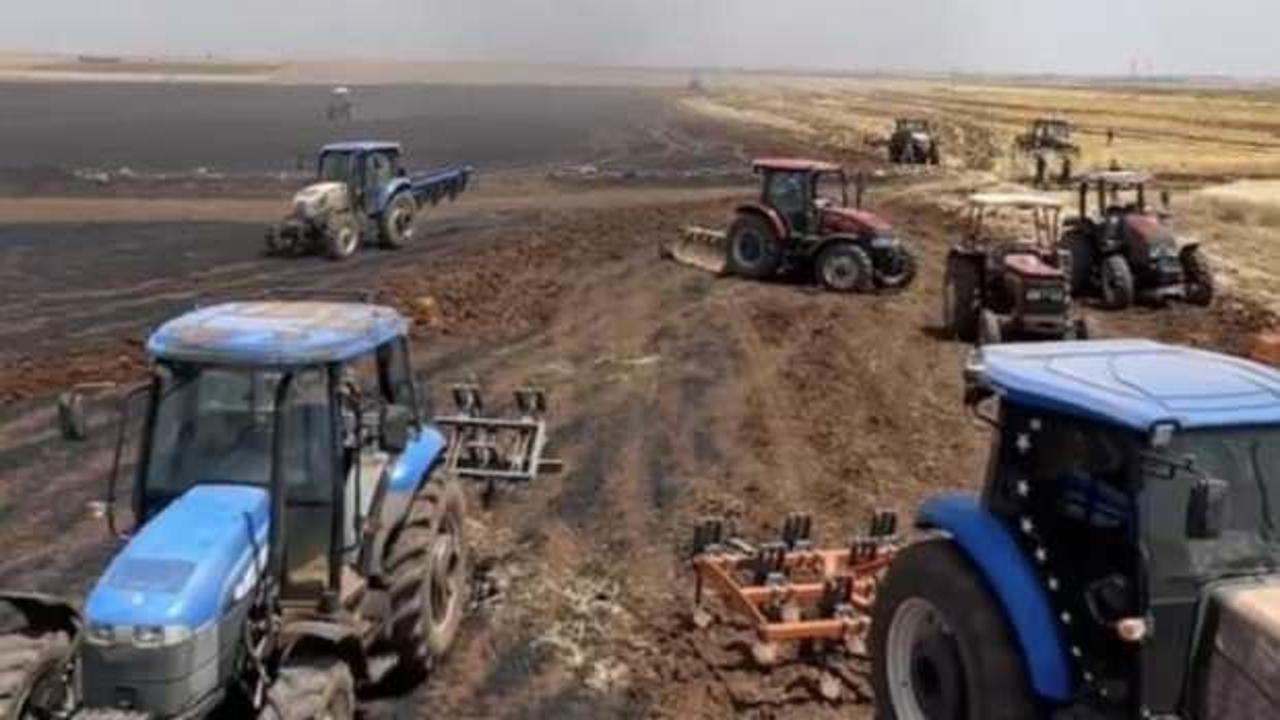 Yangında 60 dönüm buğday kül oldu