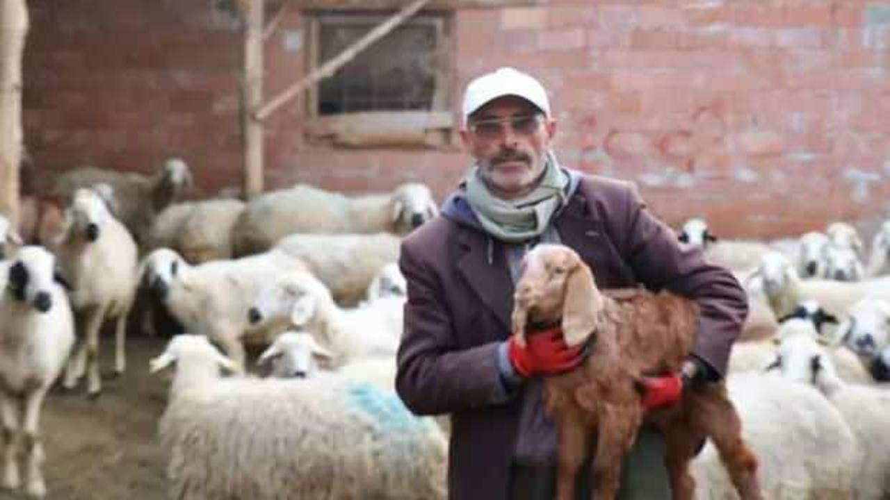 Yazdığı şiirle seçime damga vurmuştu! Reyting rekorları kıran diziye dahil oldu