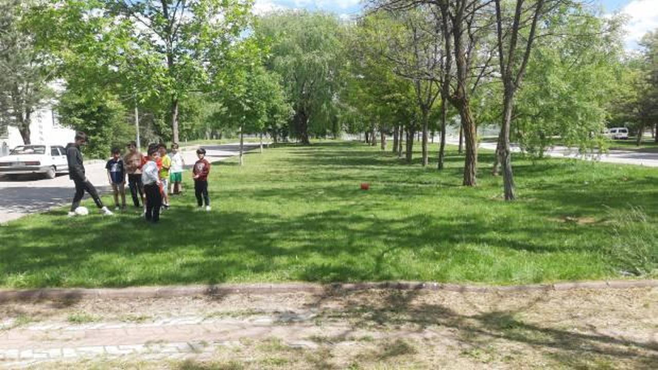 Yer: Sivas! Yine başıboş köpek dehşeti!