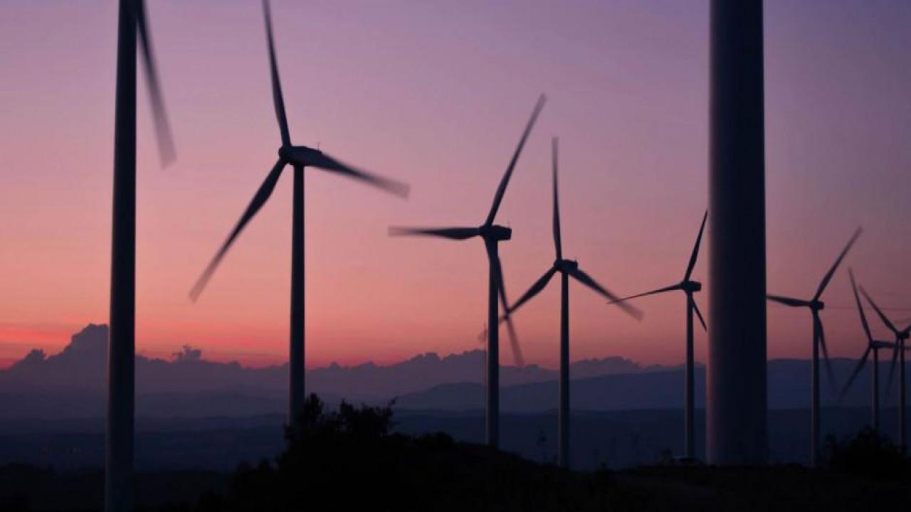 Yeşil enerji Türkiye'de 300 binden fazla istihdam oluşturabilir