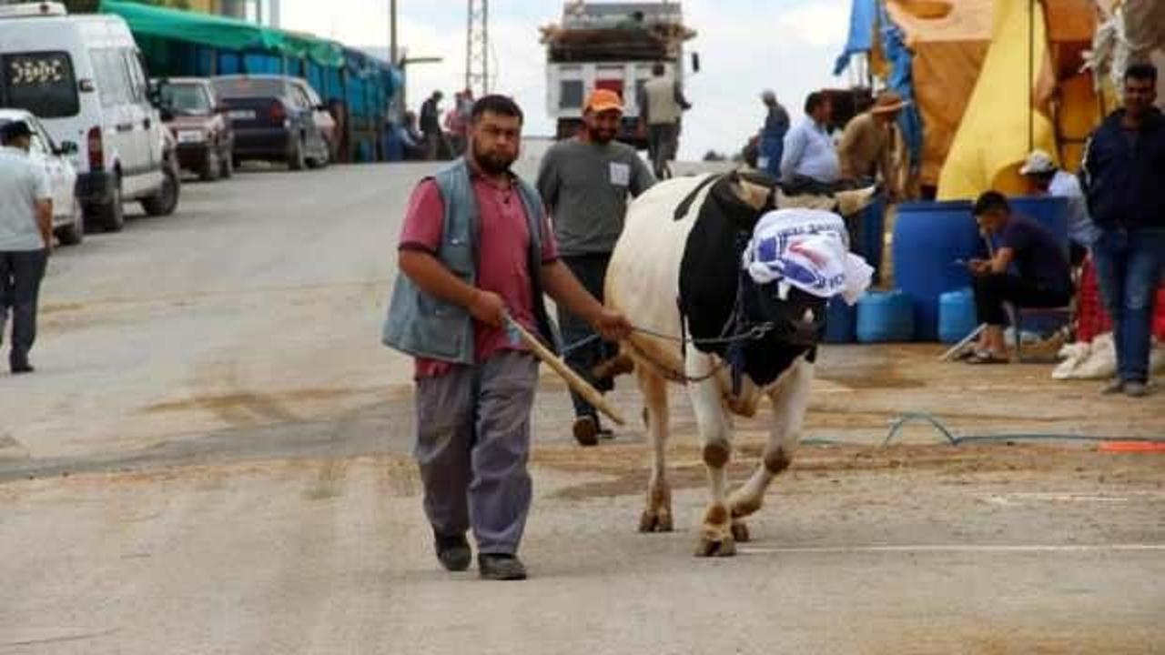 Yetkilerden kurban uyarısı: Cadde, sokak ve parkta kurban kesmek yasak