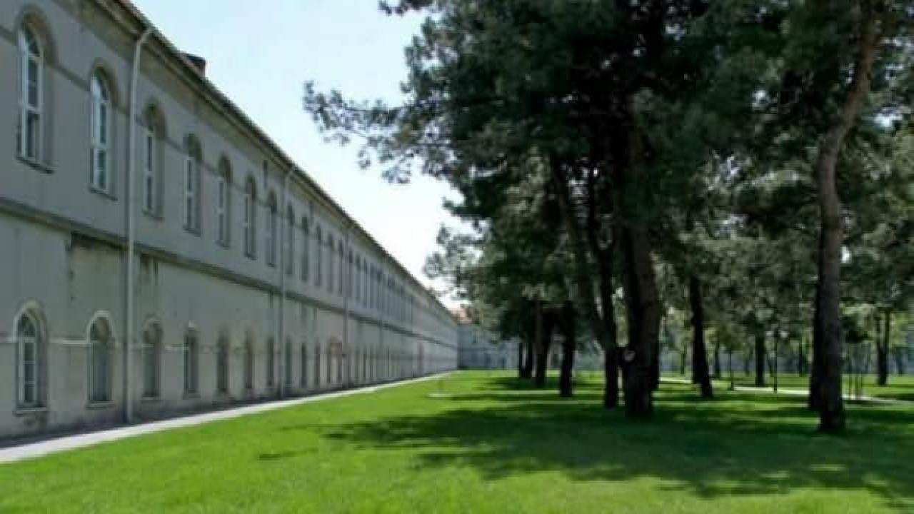 Yıldız Teknik Üniversitesi'nde başıboş köpek rezaleti: Genç kız kafa travması geçirdi!