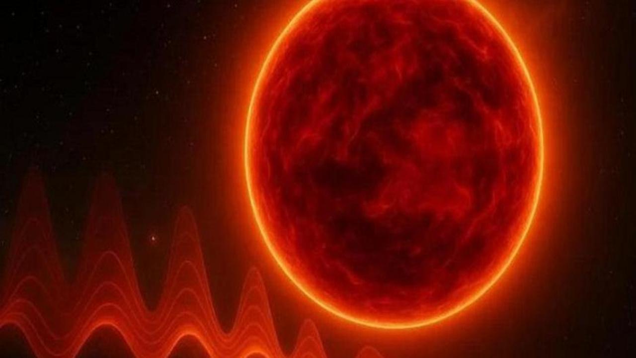 Yıldızların sesi çözüldü! Şarkı söylüyorlar