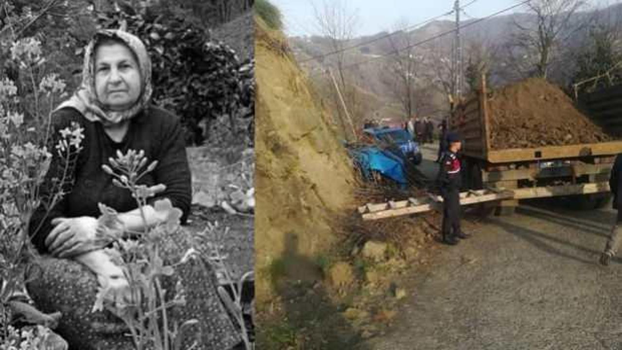 Yol kenarında yakacak topluyordu: Yaşlı kadının feci sonu!
