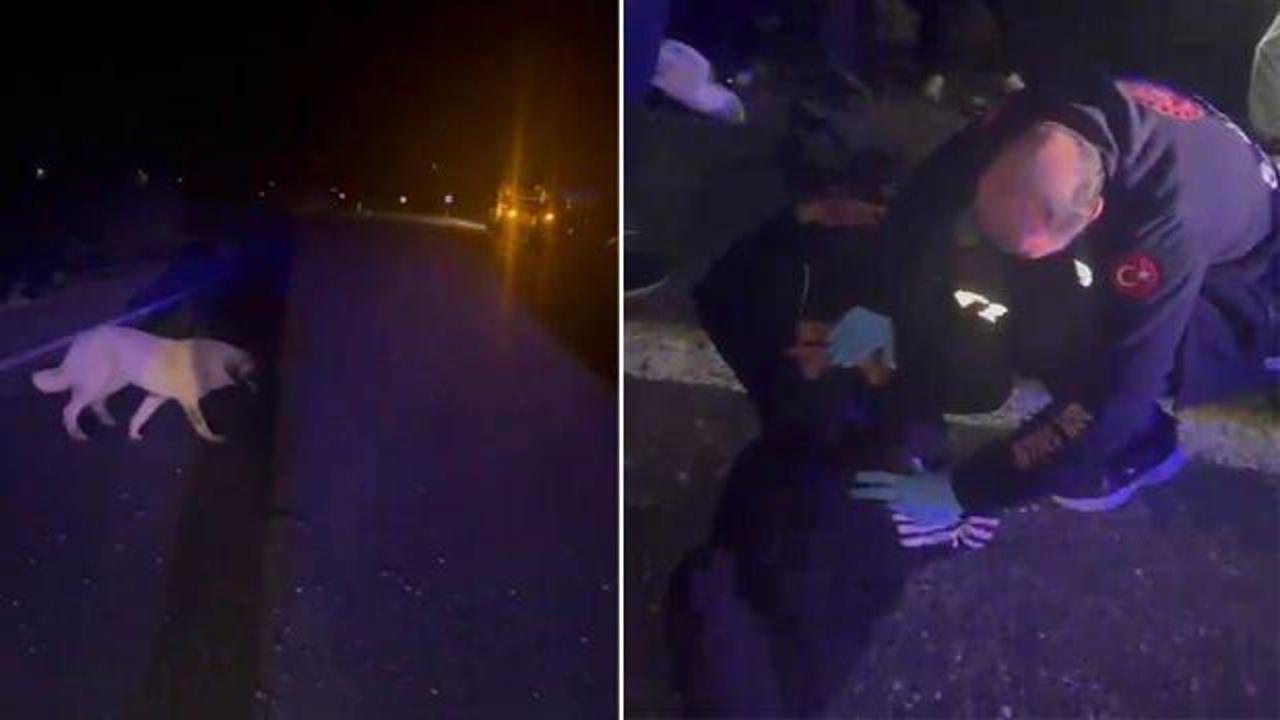 Yola atlayan köpeğe çarpmamak için direksiyonu kırdı, araç takla attı