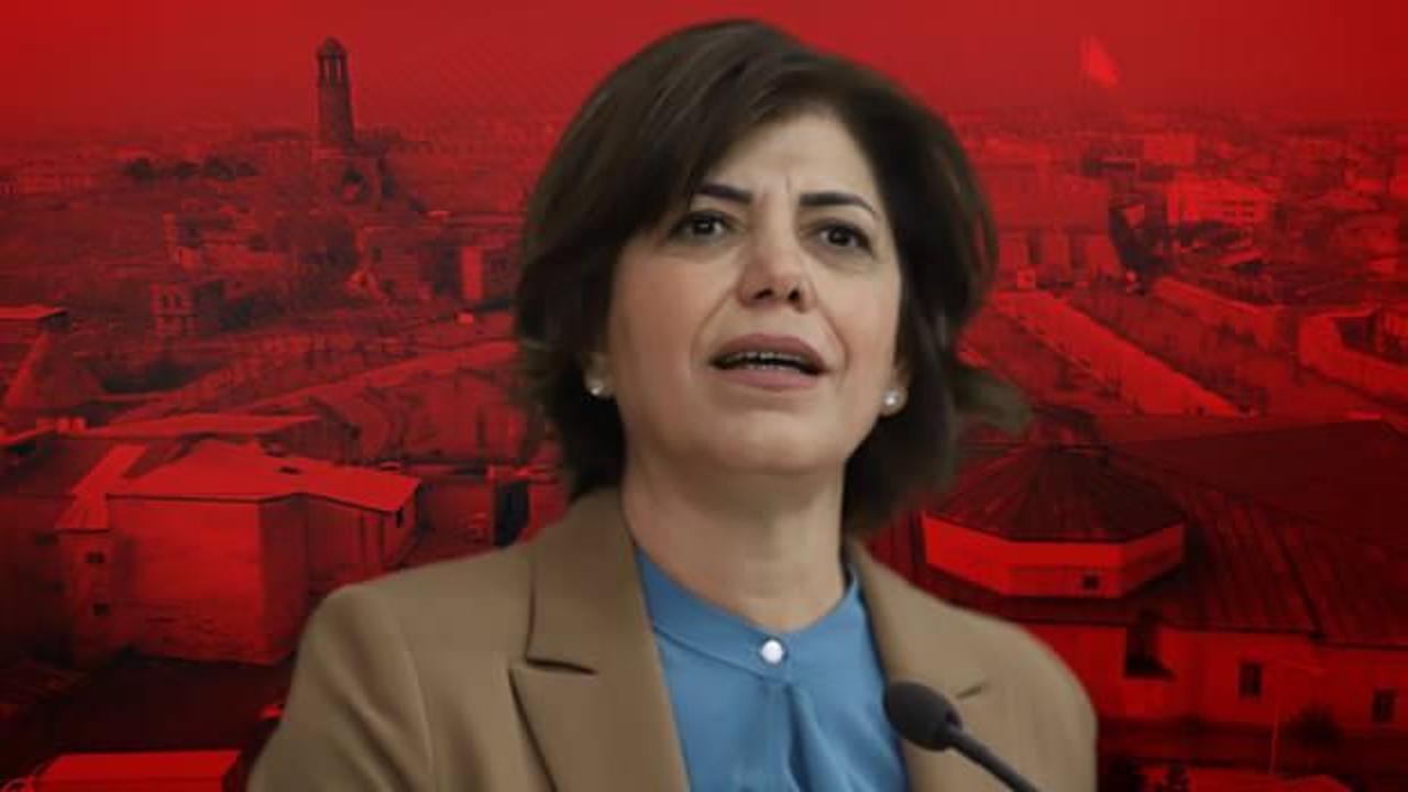 YSP’li Beştaş vekil olduğu şehire Fransız! Yine gaf yaptı