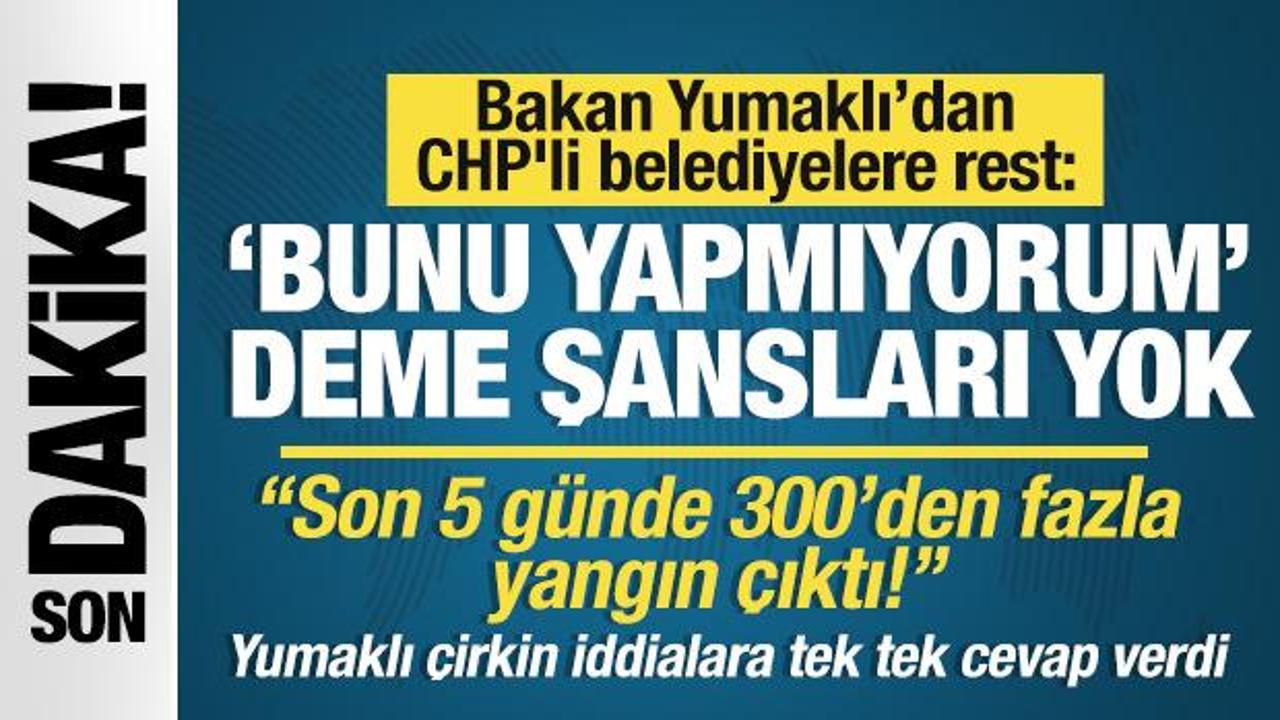 Yumaklı'dan CHP'li belediyelere başıboş sokak köpeği tepkisi: Yapmıyorum deme şansları yok