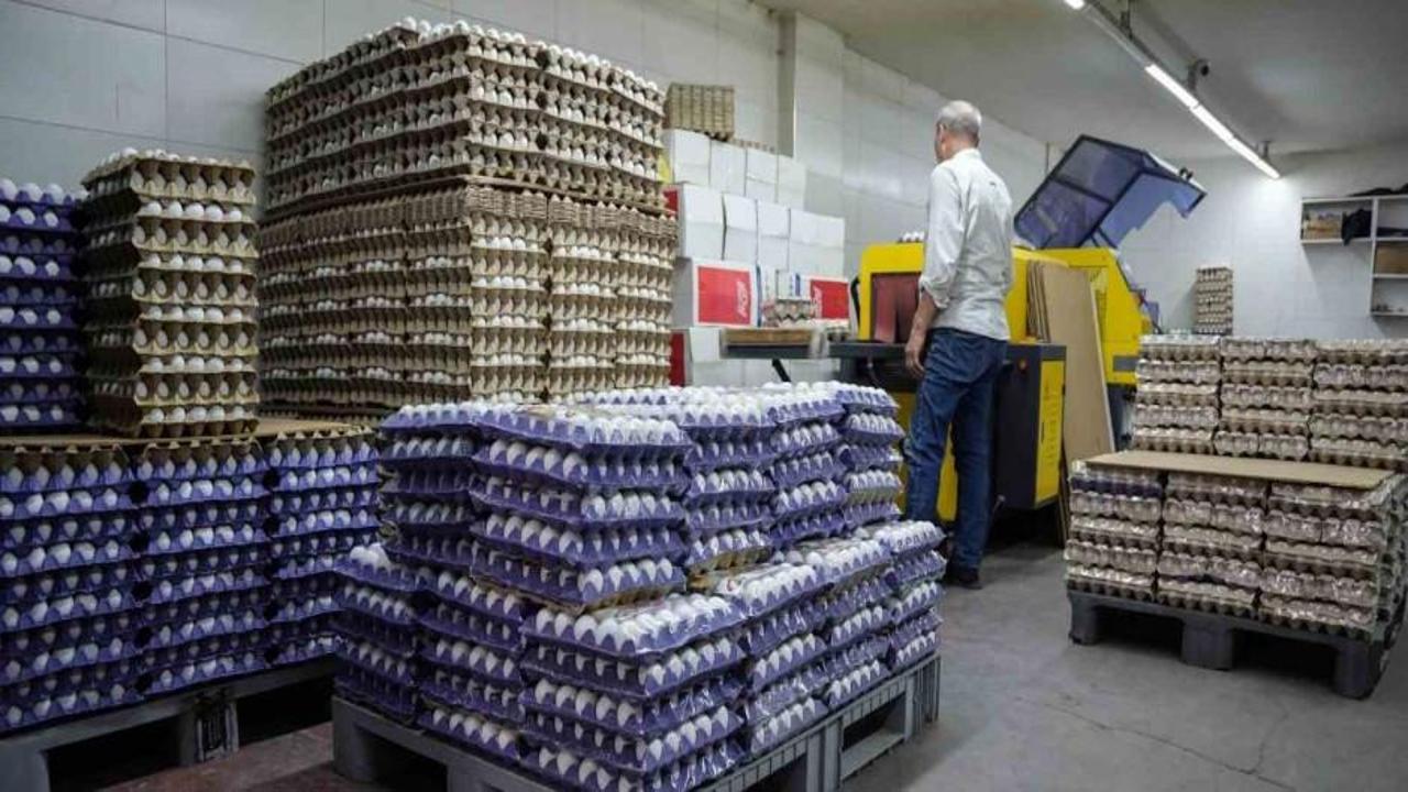 Yumurtada sezonluk indirim sona erdi fiyatlar yükseldi