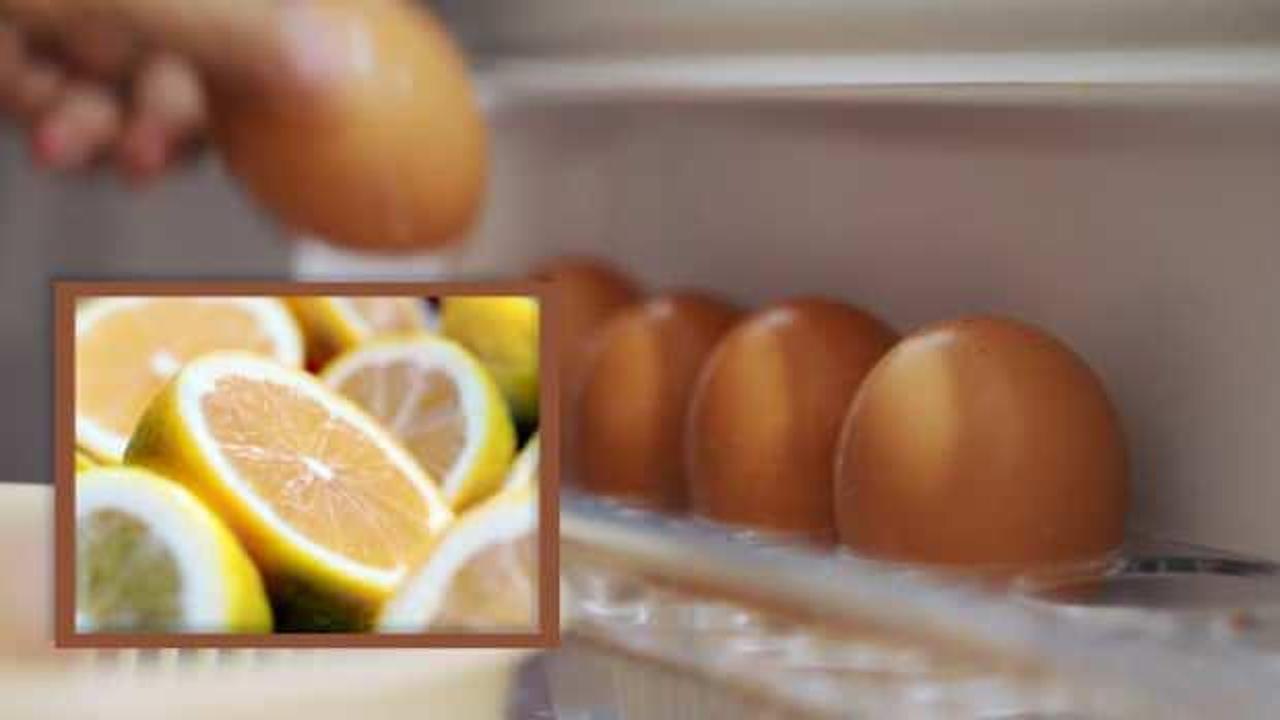 Yumurtalarla limonu aynı rafta saklayanlar dikkat: Bu yaygın hata meğer zehir saçıyormuş!