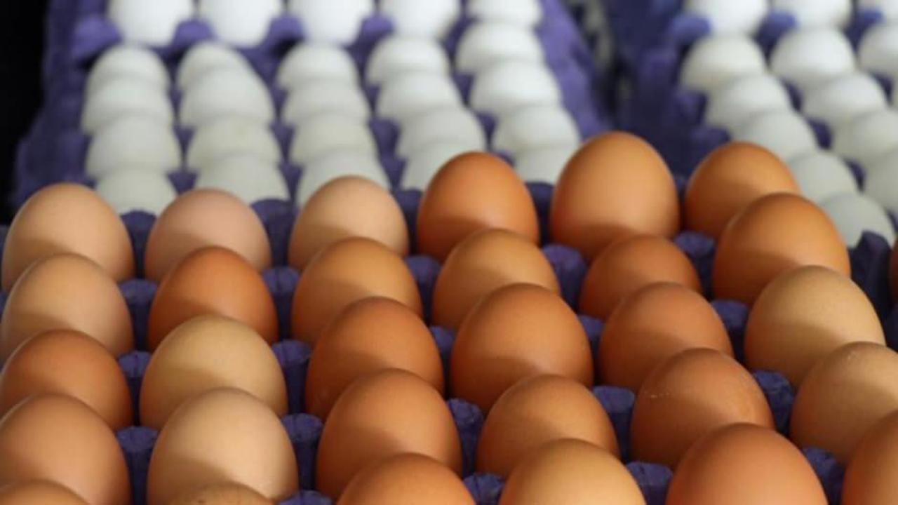 Yumurtaya peş peşe zam