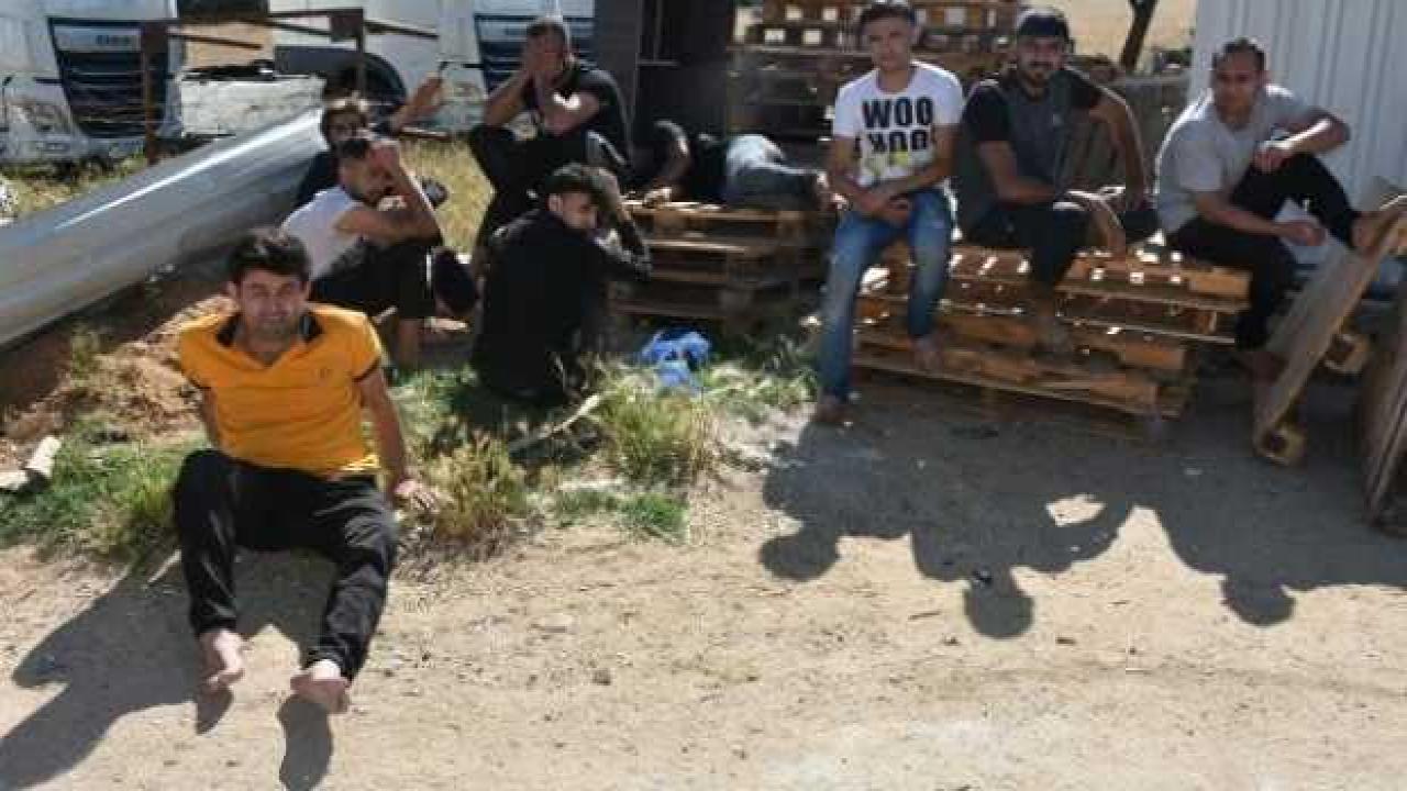Yunan unsurlarının darbettiği göçmen: Bulamasınlar, diye 50 euro yuttum