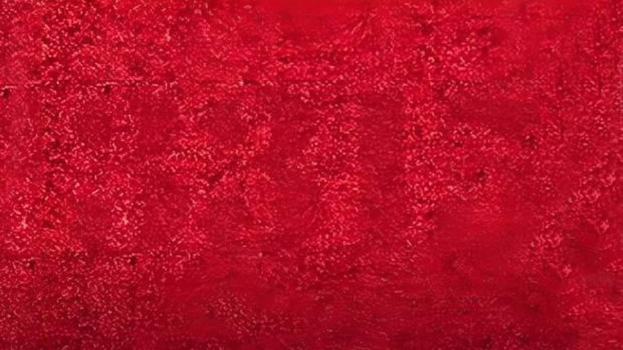 Zeka testi görselinde bir numara gizli! Gizli numarayı bulmak için verilen süre sadece 11 saniye