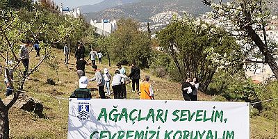 ZEYTİN FİDANLARI TOPAKLA BULUŞTU