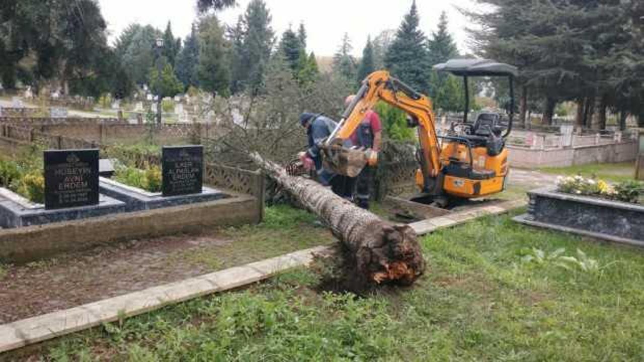 Zonguldak ve Düzce'de fırtınada devrilen ağaçlar mezarlara zarar verdi