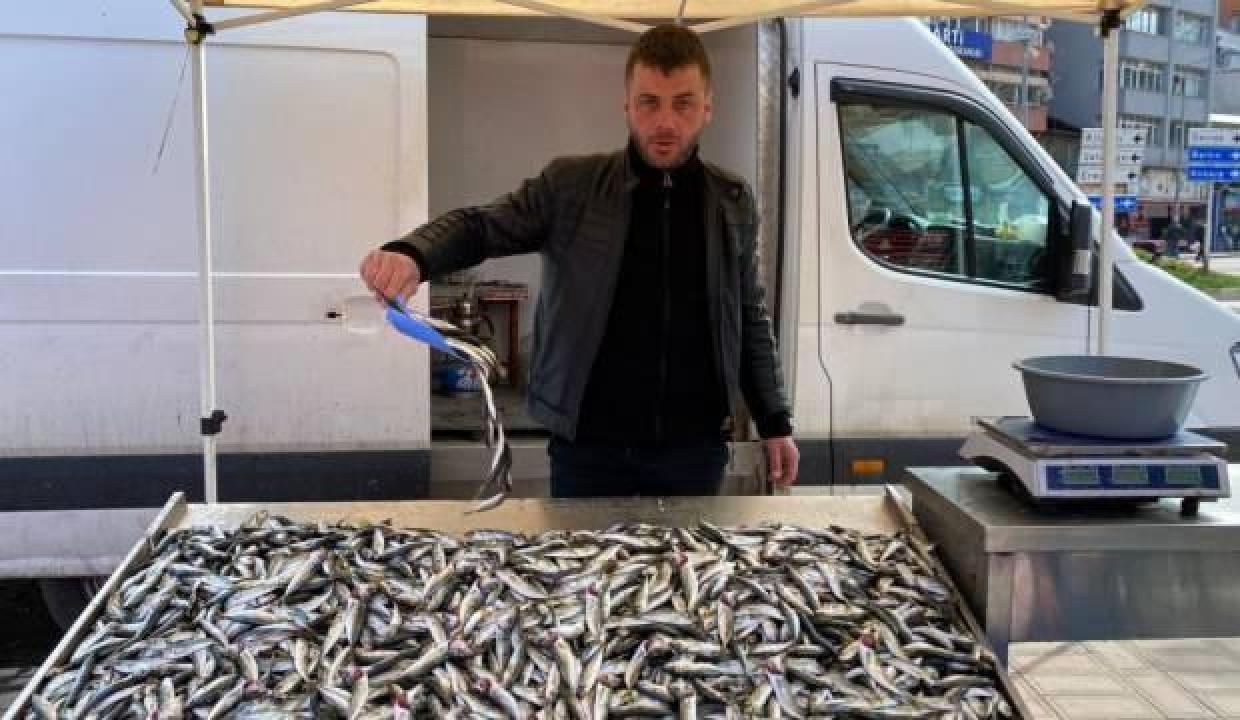 Zonguldak'ta balıkçılar teselliyi istavritte buldu